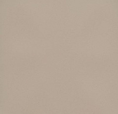 Линолеум Forbo Eternal Colour 40392 cement фото 1 | FLOORDEALER